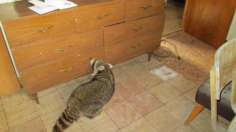 Taken Her Down - The-Hub47.jpg