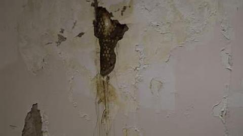 Psych - DSC_0027.jpg