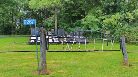 McCallumTammicoPhillips - Willey-Pioneer-Cemetery1.jpg