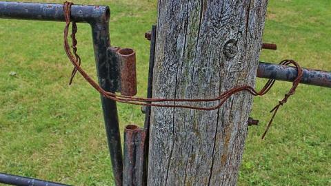 McCallumTammicoPhillips - Willey-Pioneer-Cemetery2.jpg