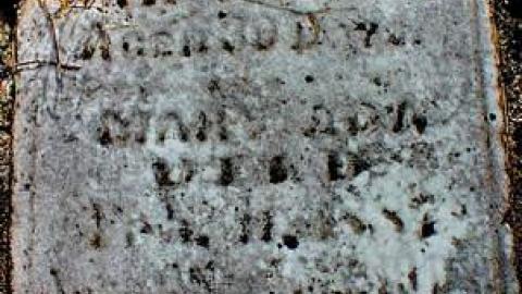 McCallumTammicoPhillips - Willey-Pioneer-Cemetery6.jpg