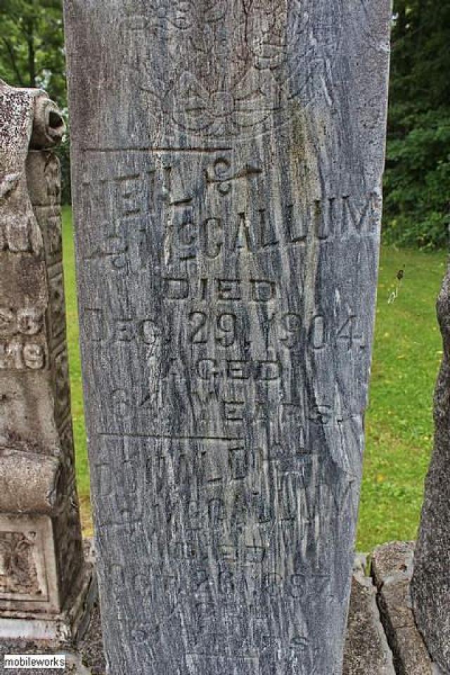 Willey Pioneer Cemetery photo 2