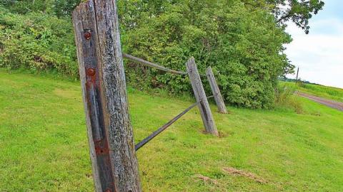 McCallumTammicoPhillips - Willey-Pioneer-Cemetery27.jpg