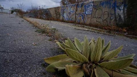 Rail Station Nov 2014 - Old-Grand-Trunk-Rail-Station18.jpg