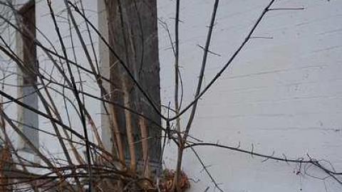 Rail Station Nov 2014 - Old-Grand-Trunk-Rail-Station7.jpg