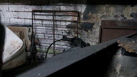 Rail Station Nov 2014 - Old-Grand-Trunk-Rail-Station10.jpg