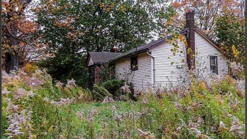 Photo from Hummingbird Steel House