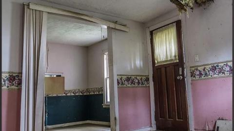 Hummingbird Steel House - Hummingbird Steel House 04.jpg