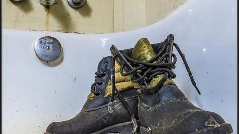 Hummingbird Steel House - Hummingbird Steel House 06.jpg