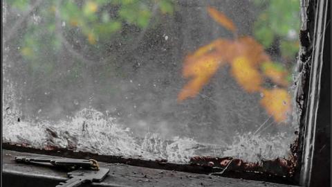 Photo from Hummingbird Steel House