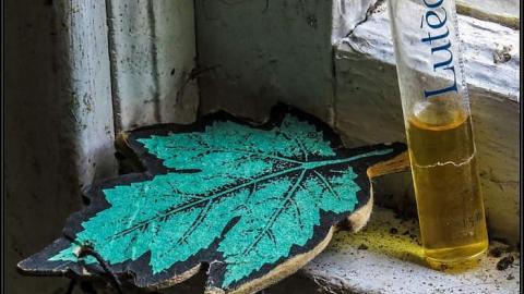 Hummingbird Steel House - Hummingbird Steel House 14.jpg