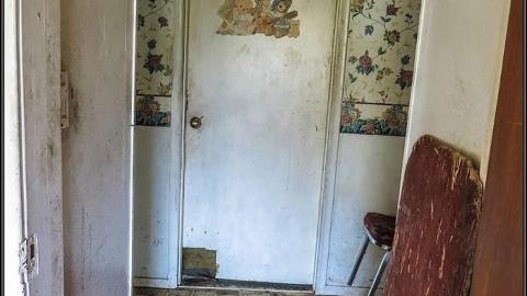 Hummingbird Steel House - Hummingbird Steel House 15.jpg