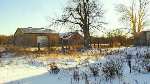 Red Green House - SAM_6418lico.jpg