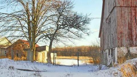 Red Green House - SAM_6421lico.jpg