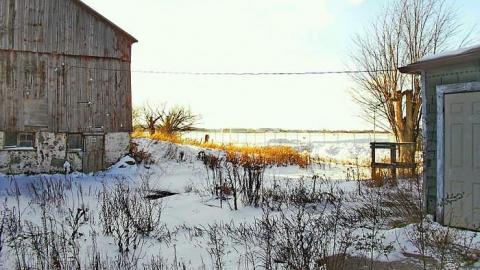 Red Green House - SAM_6424licocr.jpg