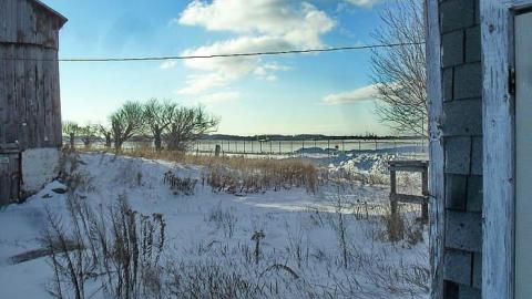 Red Green House - SAM_6428li.jpg