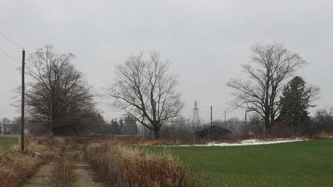 Grey Day - House-Bgone-Tire-Farm1.jpg