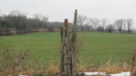 Grey Day - House-Bgone-Tire-Farm10.jpg