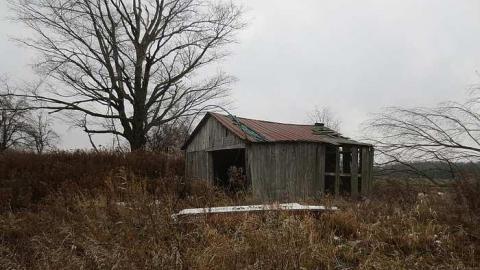 Grey Day - House-Bgone-Tire-Farm2.jpg