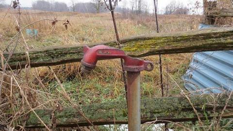 Grey Day - House-Bgone-Tire-Farm3.jpg