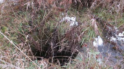 Grey Day - House-Bgone-Tire-Farm6.jpg