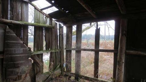 Grey Day - House-Bgone-Tire-Farm15.jpg