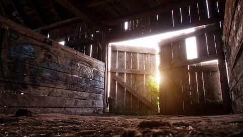 Photo from Greenbelt Farm