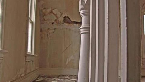 Cue the flies! - Nov Mission 151_edited-1.jpg