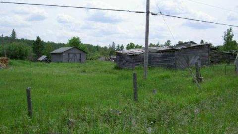 Ursa (ghost town) cover photo