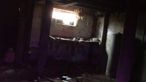 old shack hwy 59 - DSCF2997(1).jpg