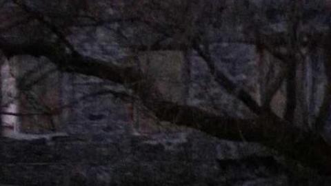 mill at dusk - German-Woolen-Mill27.jpg