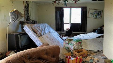 Raccoon Recreational - Hamilton, Ontario