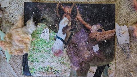 No Vacancy - RR6.jpg