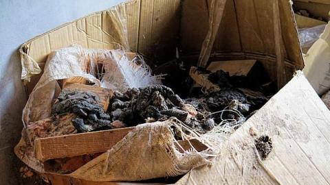 No Vacancy - RR12.jpg