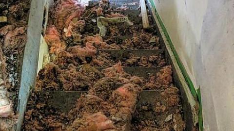 No Vacancy - RR13.jpg