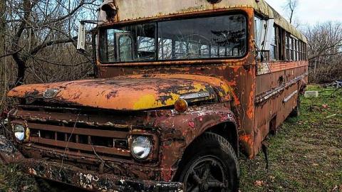 Raccoon Recreational photo 3