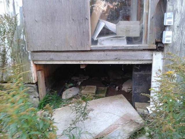 2014 visit - 20141004_184203.jpg