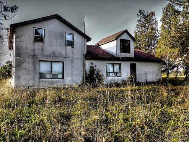 Genius at Work - gv1.jpg