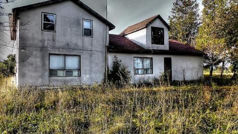 Genius at Work cover photo