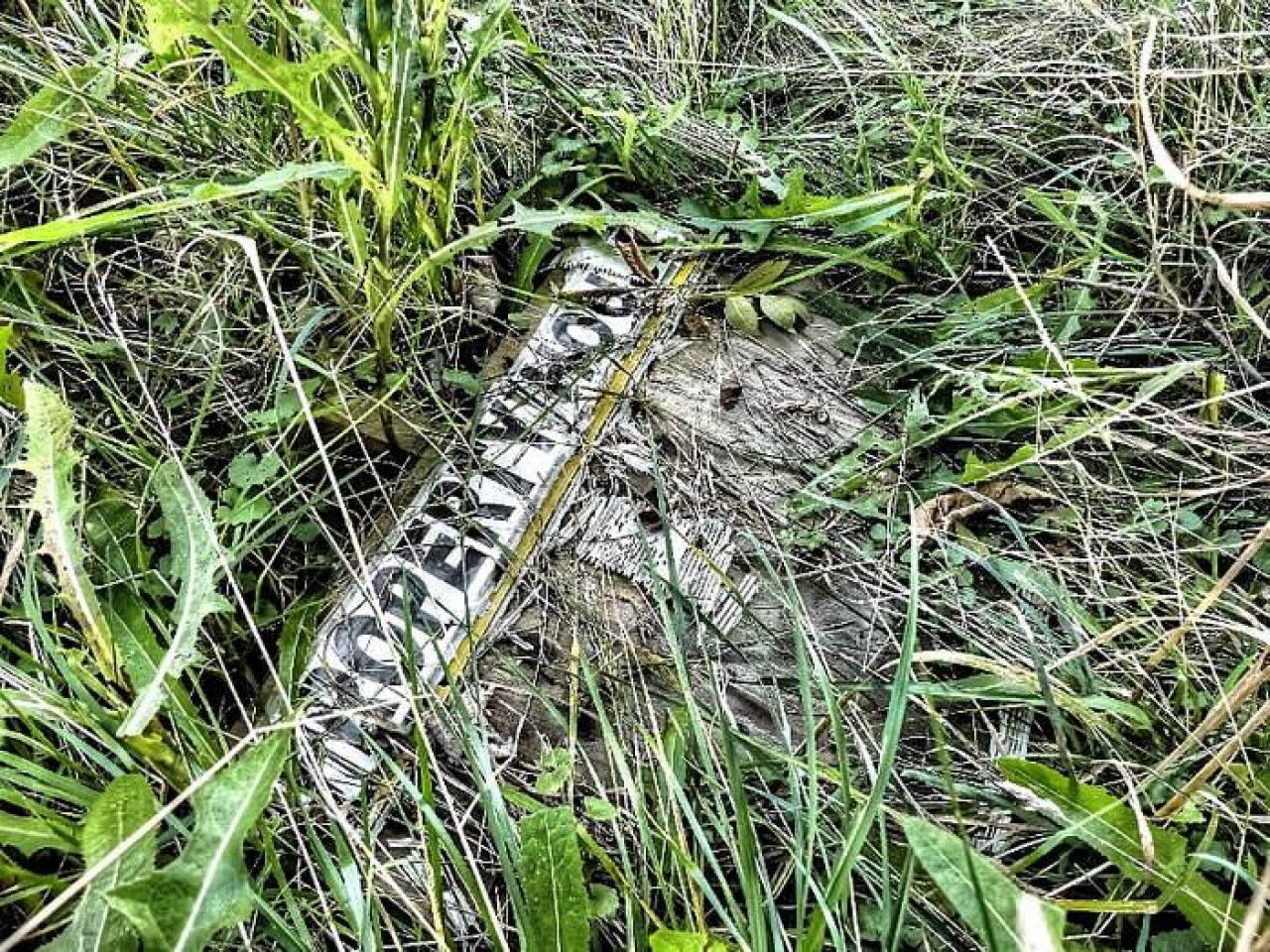 Genius at Work - dv2.jpg