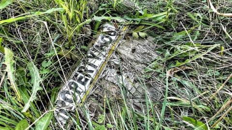 Photo from Genius at Work