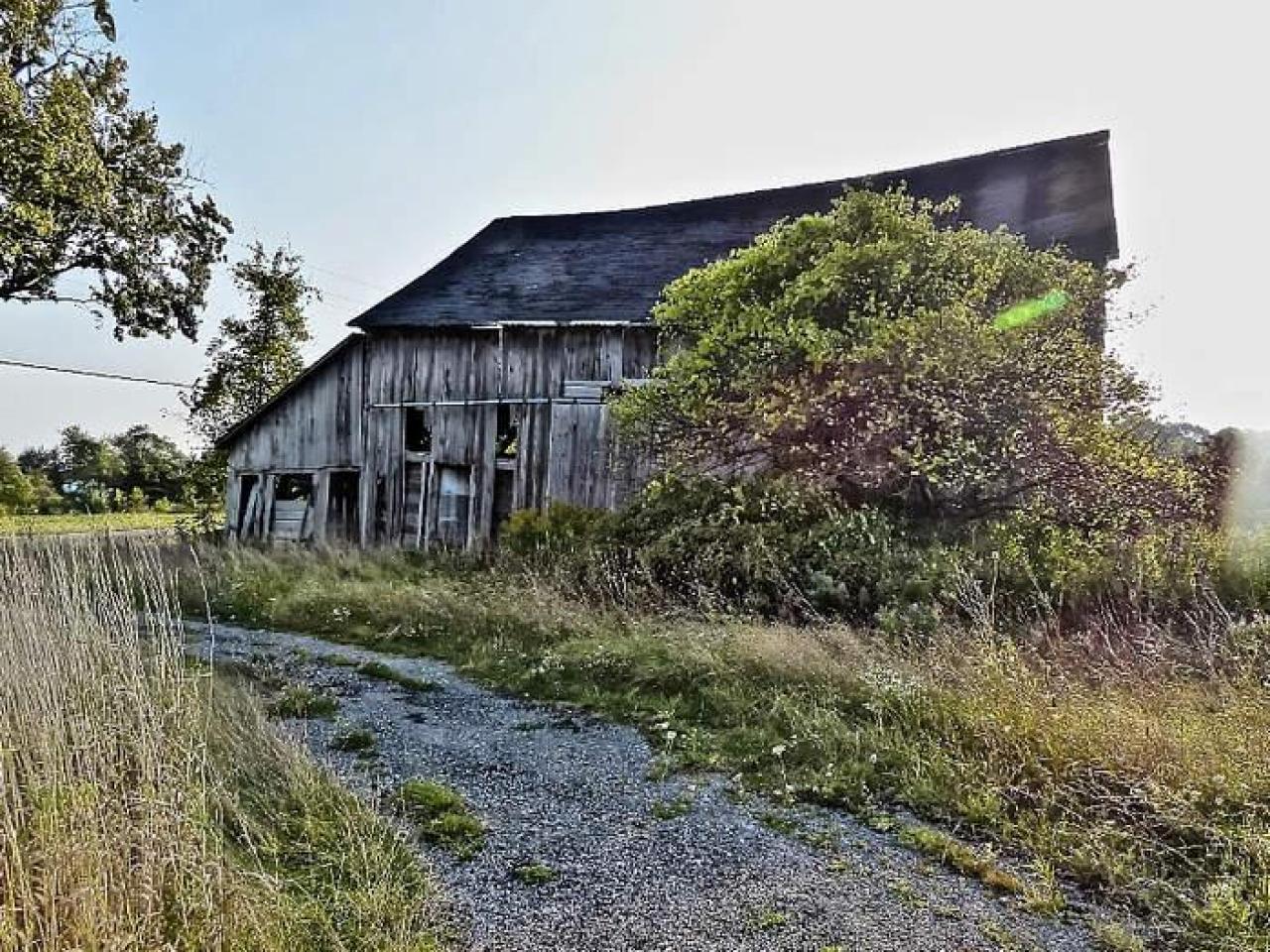 Genius at Work - 11.jpg