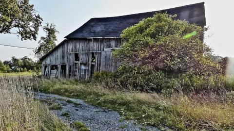 Genius at Work - 11.jpg