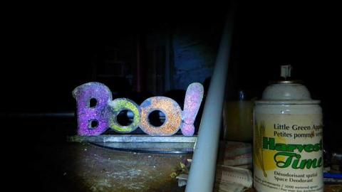 The Maples - The-Maples20.jpg