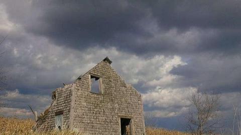 Farm  - Deavy-Farm48.jpg