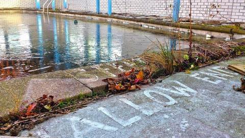 December 4, 2014 - IMG_3616er.jpg