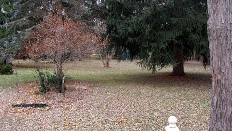 Pristine For Now - Losing-Neighbourhood10.jpg