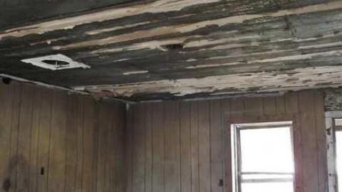 Photo from Highway 59 Shack