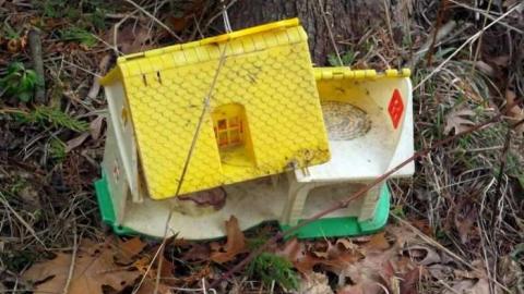 Highway 59 Shack - DSCF5639.jpg