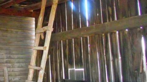 1709 Windham Rd - Clipboard16.jpg